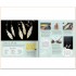 Air-Dry Clay Craft Box Set