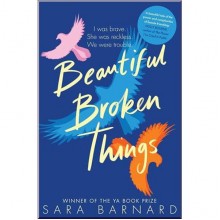 Beautiful Broken Things