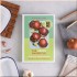 The Green Barbecue: Vegan and Vegetarian Recipes to Cook Outdoors and In