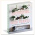 Decorating with Plants