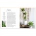 Decorating with Plants
