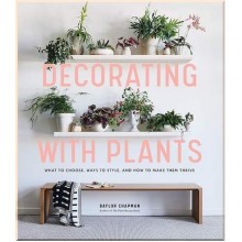 Decorating with Plants