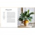 Decorating with Plants