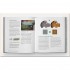 The Oil Painter's Color Handbook