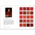 Color Scheme