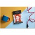 Lives of the Musicians: David Bowie