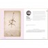 Letters of Great Women