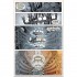 The Phantom of the Opera (A Graphic Novel)