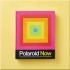 Polaroid Now: The History and Future of Polaroid Photography