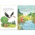 Usborne English Readers Level Starter The Fox and the Stork