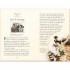 Usborne Young Reading Level 3 Queen Elizabeth II