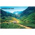 The Digital Nomad Handbook