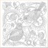 Millie Marotta's Beautiful Birds and Treetop Treasures: A Colouring Book Adventure