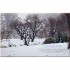 Made for You: Winter: Recipes for Gifts and Celebrations