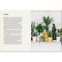 The Unkillables: 40 Resilient House Plants for New Plant Parents
