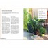 Grow Your Own Pet Plants