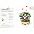 Grow Your Own Pet Plants