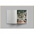 Cereal Volume 15