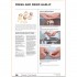 The French Chef Handbook