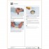 The French Chef Handbook