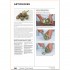 The French Chef Handbook