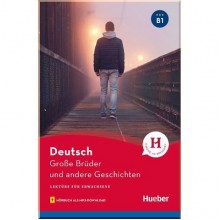 Große Brüder und andere Geschichten