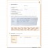 Gute Idee! A1.1 Arbeitsbuch mit interaktive Version