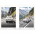 Cars and Curves: A Tribute to 70 Years of Porsche