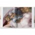 Michelangelo. The Complete Paintings, Sculptures and Architecture