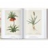 Redouté: The Book of Flowers (40th Anniversary Edition)