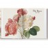 Redouté: The Book of Flowers (40th Anniversary Edition)