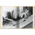 Dian Hanson's Butt Book
