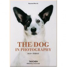 The Dog in Photography 1839–Today