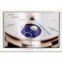 The Watch Book Rolex