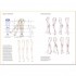 Figure Drawing for Fashion Design