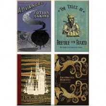 Hogwarts Book Covers Magnet Set