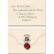 Harry Potter's Hogwarts Acceptance Letter Magnet Set