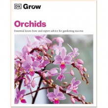 Orchids