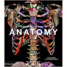 Anatomy: Exploring the Human Body