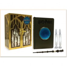 Harry Potter: Pensieve Memory Set