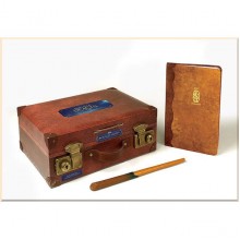 Fantastic Beasts and Where to Find Them: The Magizoologist's Discovery Case