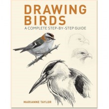 Drawing Birds: A Complete Step-by-Step Guide