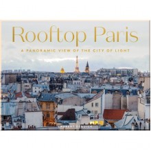 Rooftop Paris: A Panoramic View of the City of Light