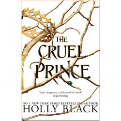 The Cruel Prince (Book 1)
