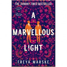 A Marvellous Light (Book 1)