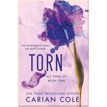 Torn (Book 1)
