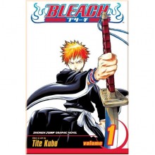 Bleach Vol. 1