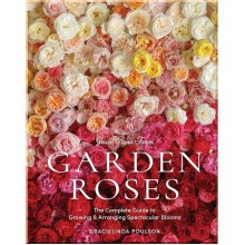 Garden Roses