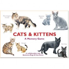 Cats and Kittens: A Memory Game