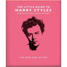 The Little Guide to Harry Styles